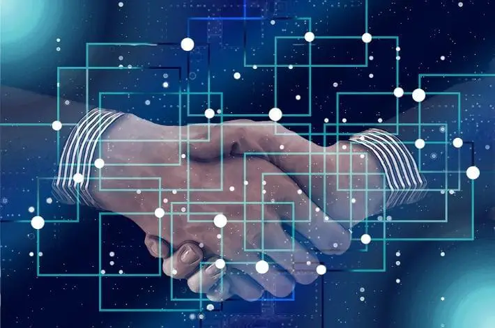 Verifiable Credential Blockchain