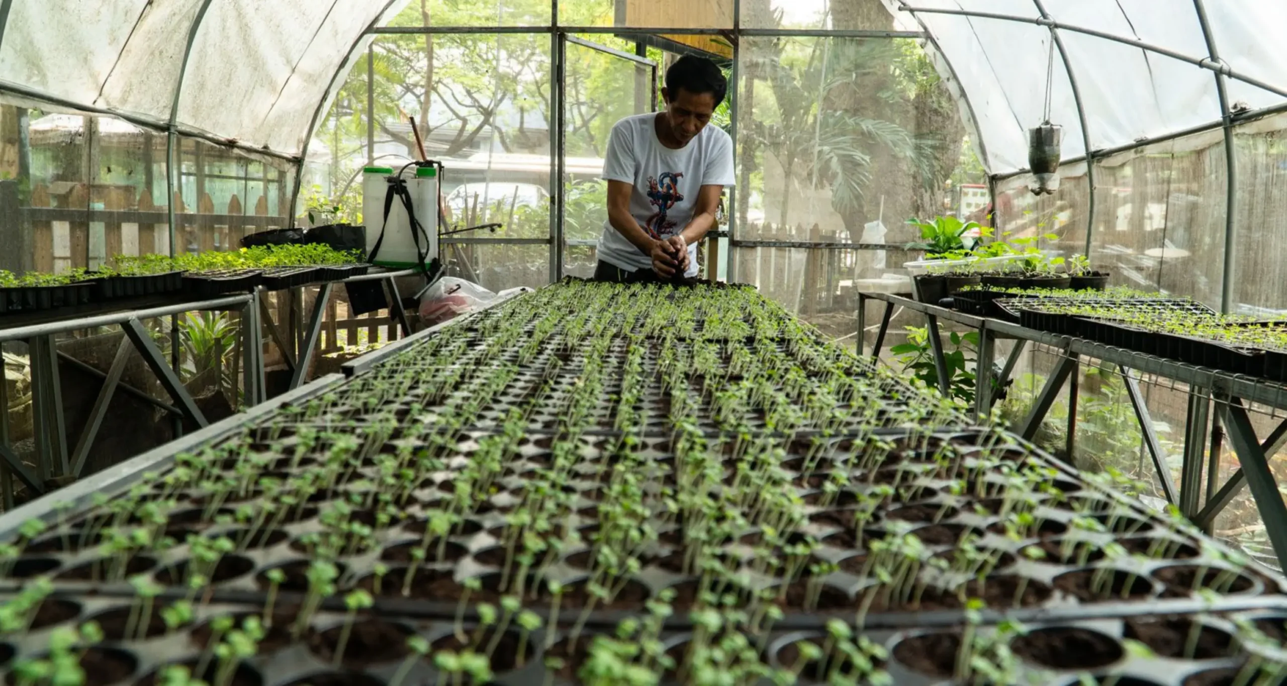 food-security-government-subsidized-urban-community-farm-Quezon-City-Philippines